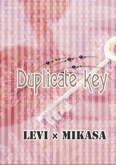 Duplicate Key