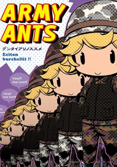 ARMY ANTS Guntaiarinosusume