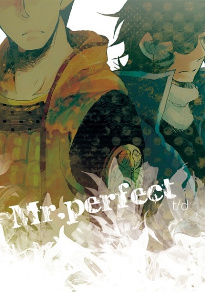Mrperfect
