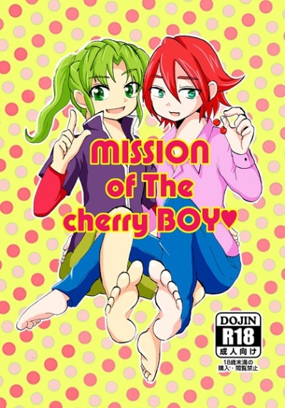 MISSION of The cherry BOY