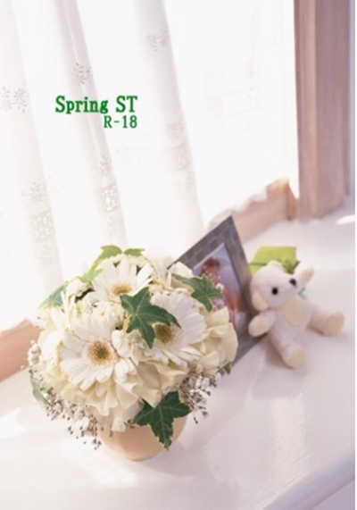 Spring ST