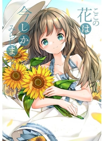 ここの花は今しかみられません。