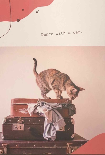 Dance With A Cat.