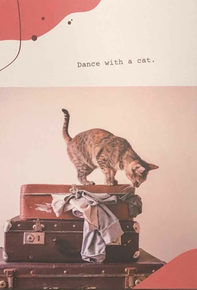 Dance with a cat.