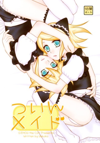 Tsuin Meido