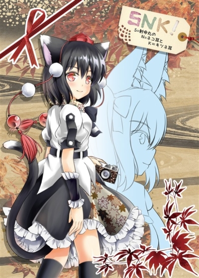 SNK S Sha Inochi Maru No N Neko Mimi To K Kitsune Mimi