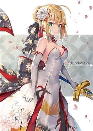 Fate Collection