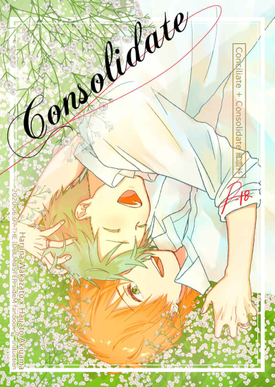 Conciliate+Consolidate 再録本