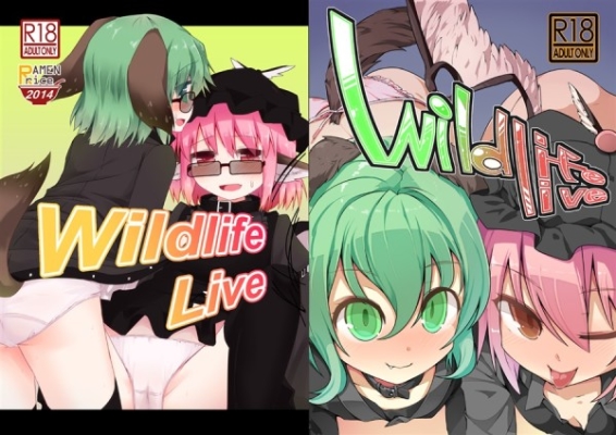 Wildlife Live