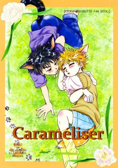 Carameliser