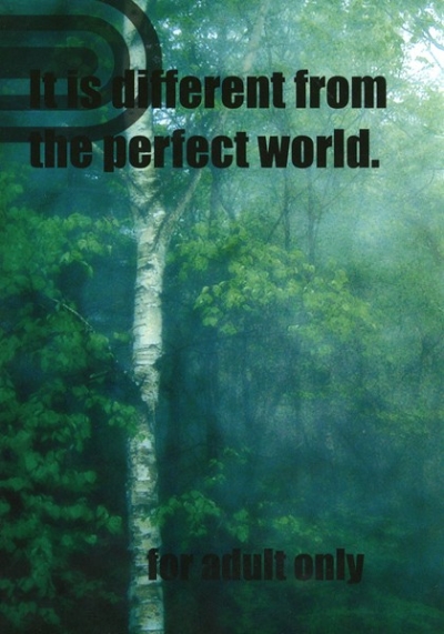 It is different From the perfect world ＜上巻＞