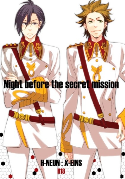 Night Before The Secret Mission