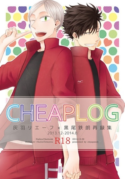CHEAPLOG