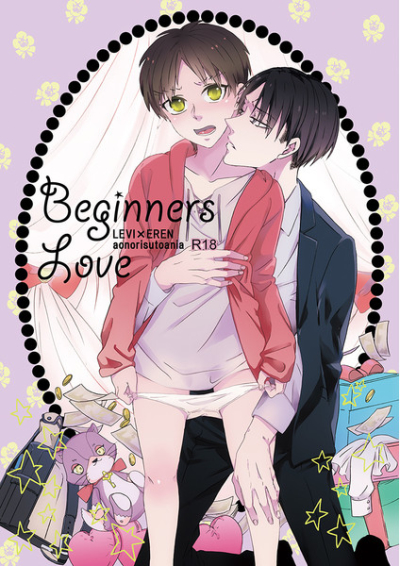 Beginners Love