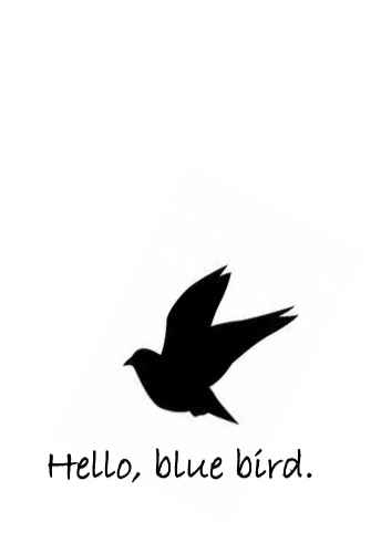 Hello,bluebird.