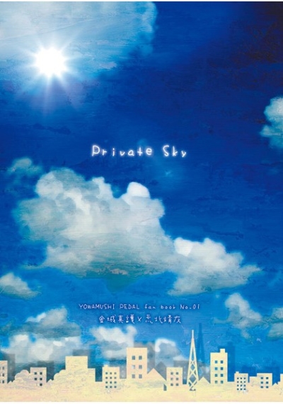 private sky