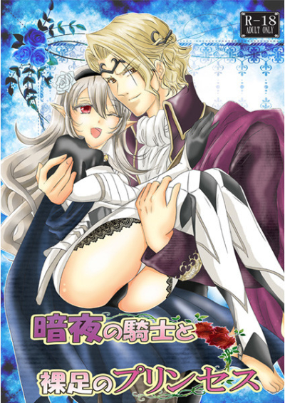 暗夜の騎士と裸足のプリンセス