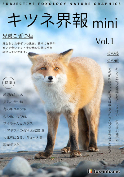 Kitakitsune Shashinshuu Kitsune Kai Hou Mini Vol.1