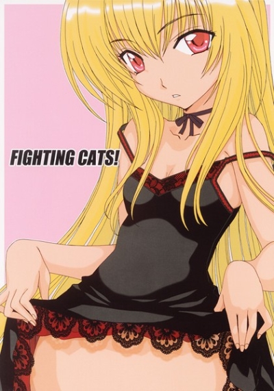 FIGHTING CATS!