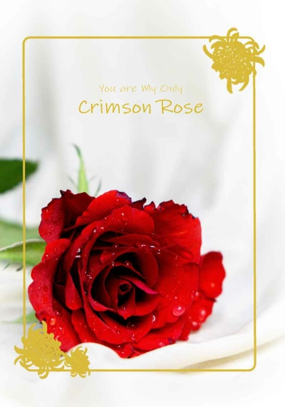 You Are My Only Crimson Rose