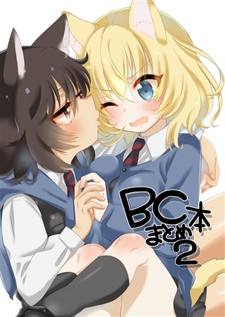 BCまとめ本2