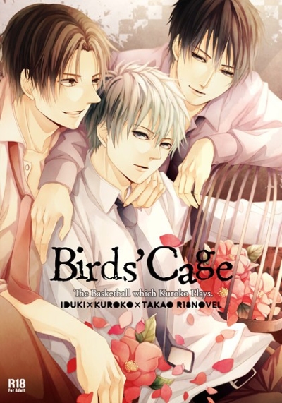 Birds' Cage