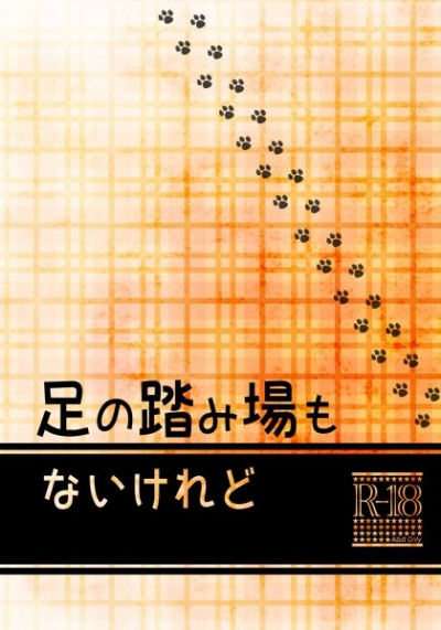 足の踏み場もないけれど