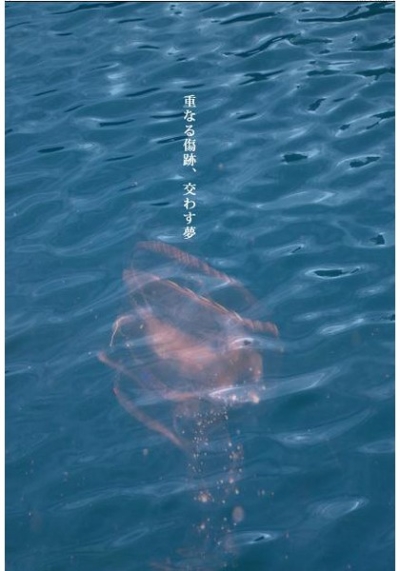 重なる傷跡、交わす夢