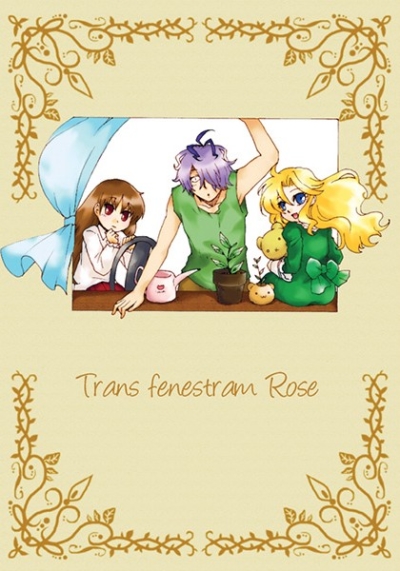 Trans Fenestram Rose