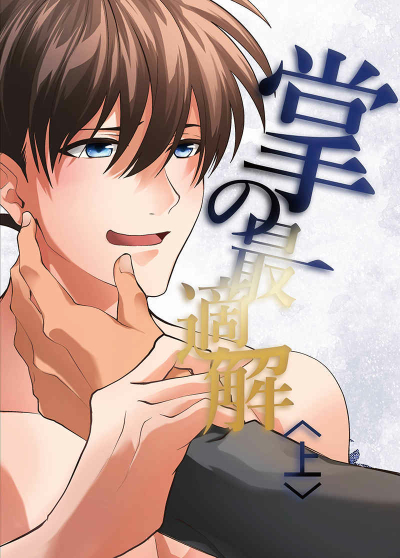 掌の最適解〈上〉
