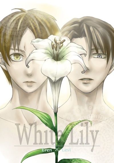 White Lily