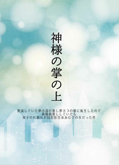 Kamisama No Tenohira No Ue