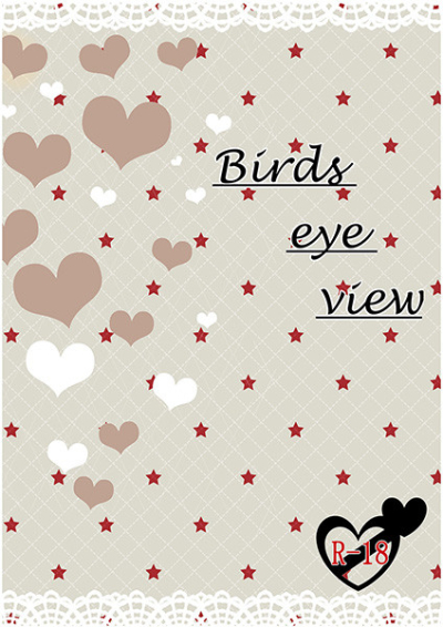 Birds eye view