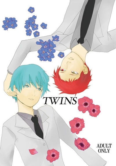 TWINS