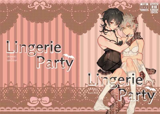 Lingerie Party