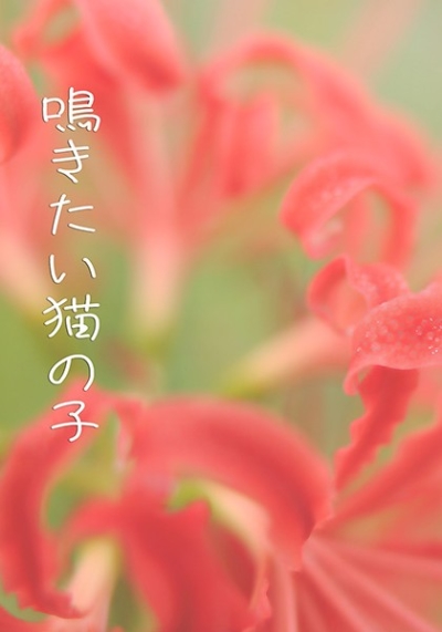Naki Tai Neko No Ko