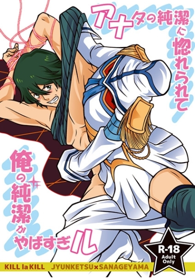 Anata No Junketsu Ni Hore Rarete Ore No Junketsu Gayabasugi Ru