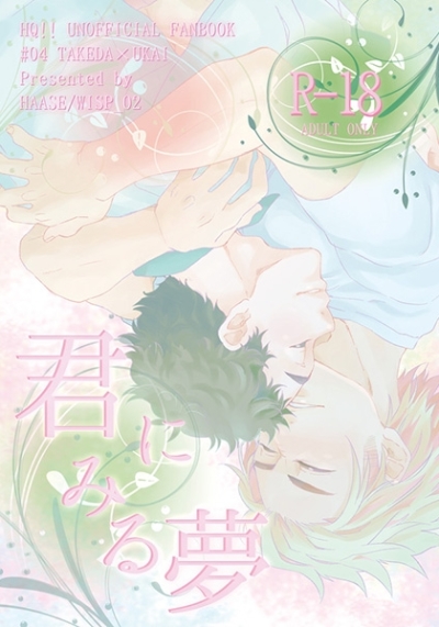Kun Nimiru Yume