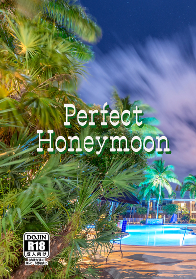Perfect Honeymoon