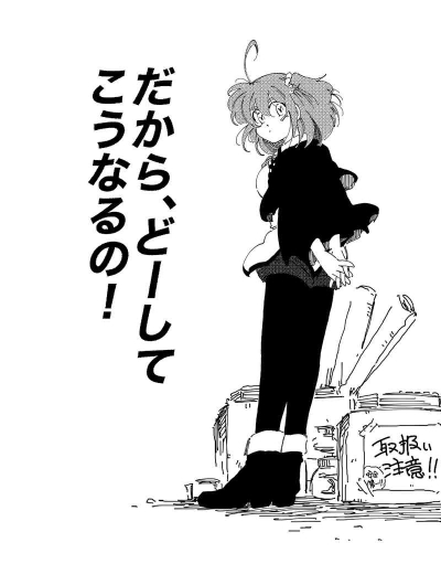 だから、どーしてこうなるの!