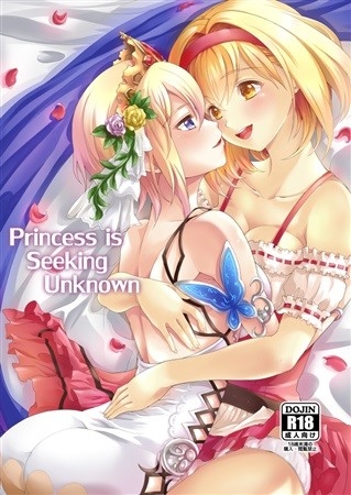 Princess Is Seeking Unknown