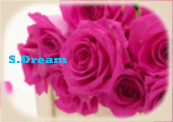 S.Dream