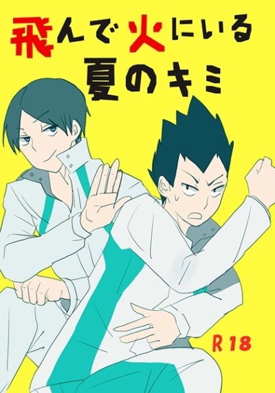 飛んで火にいる夏のきみ