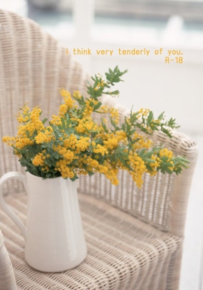 I think very tenderly of you.