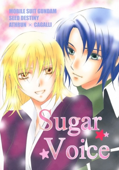 Sugar Voice