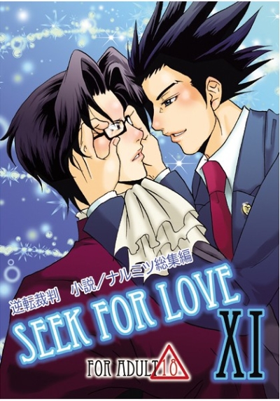 SEEK FOR LOVE XI