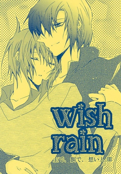 Wish Rain