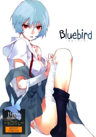 Bluebird Burubado