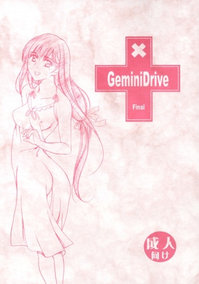 GeminiDrive Final