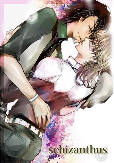 schizanthus